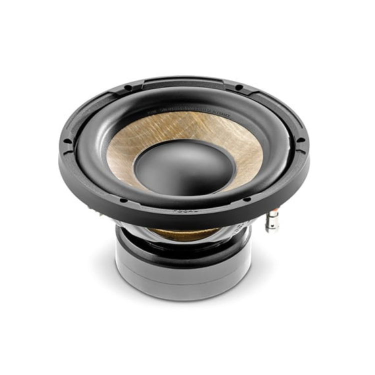 Focal P 20 F