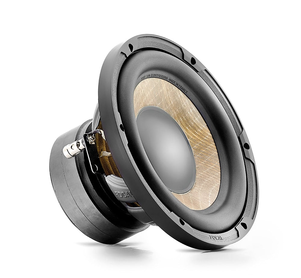 Focal P 20 F