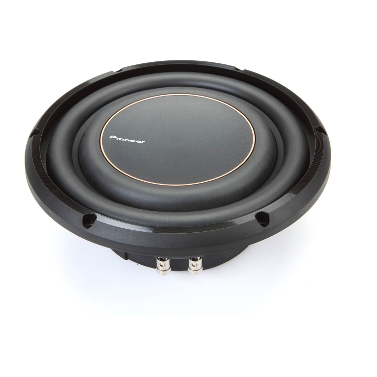 Pioneer TS-D10LS2