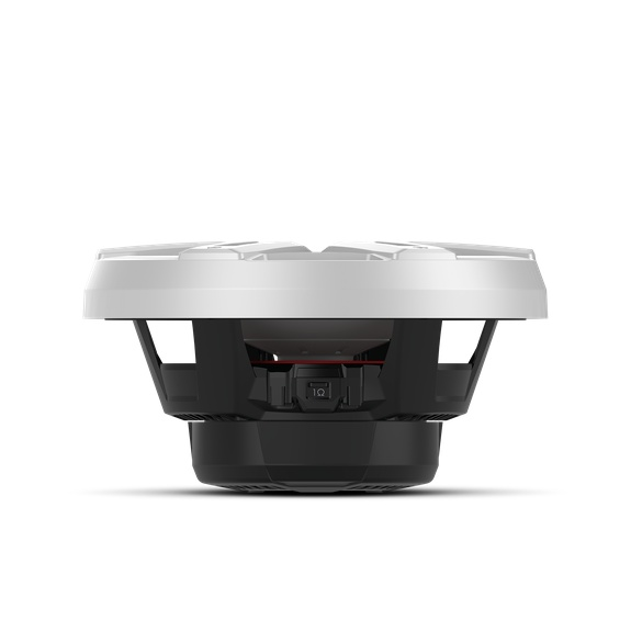 Rockford Fosgate M2D2-12I