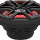 Rockford Fosgate M2D2-10l